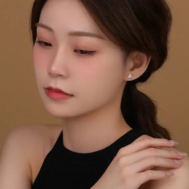 NVBBK ins