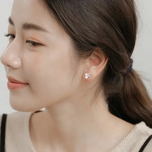 NVBBK ins