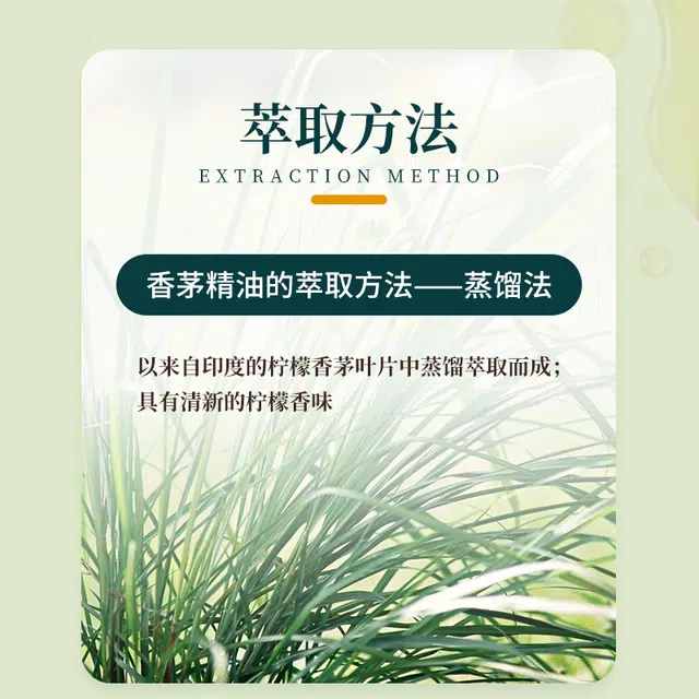 ABSOLUTE AROMAS10ml30ml