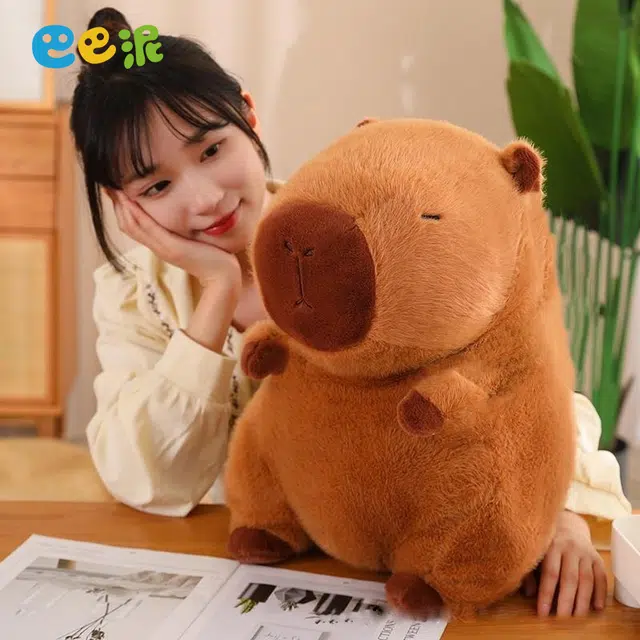 23CM33CM