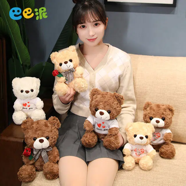 T 20cm25cm