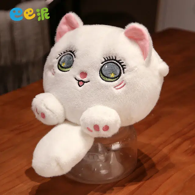 24cm