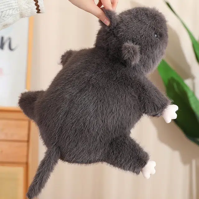 35cm50cm70cm