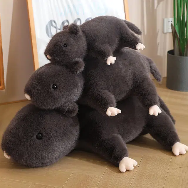 35cm50cm70cm