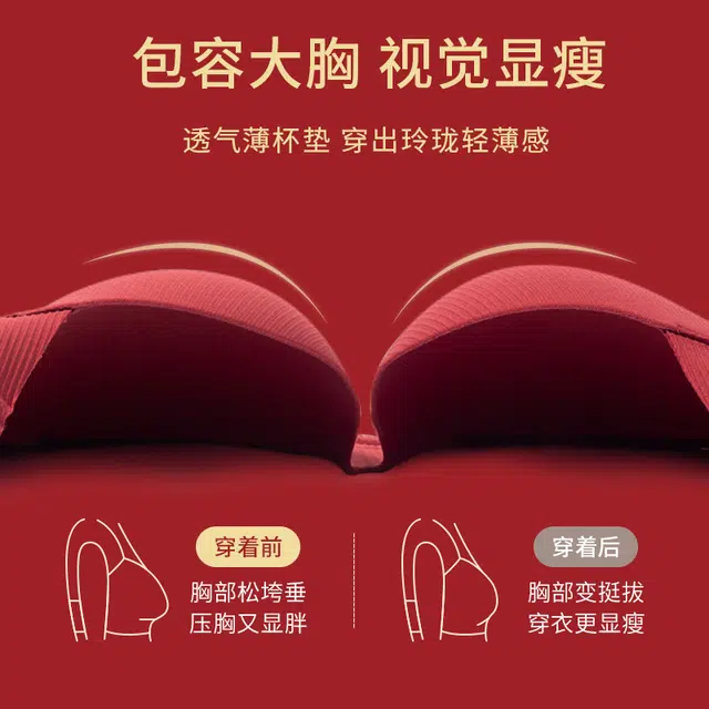 丝之莎 大胸显小上托防下垂调整型内衣女无痕无钢圈文胸 女款