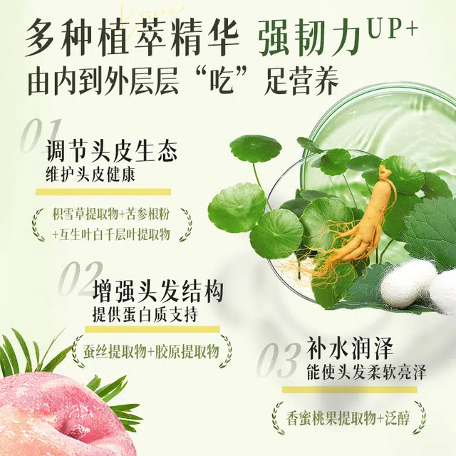 采乐 无硅油茶萃蓬松香薰洗发水 持久留香止痒清爽清爽控油