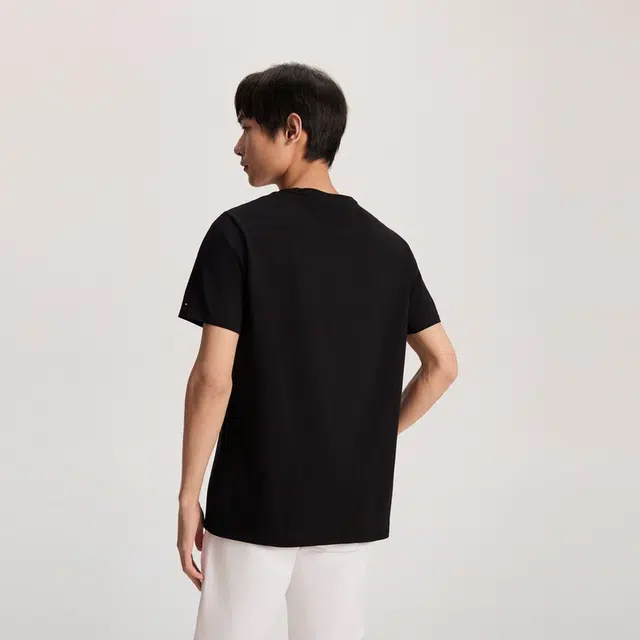 Tommy Hilfiger T
