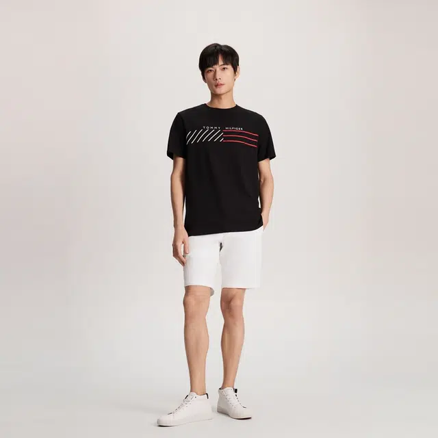 Tommy Hilfiger T
