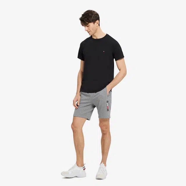 Tommy Hilfiger LogoT