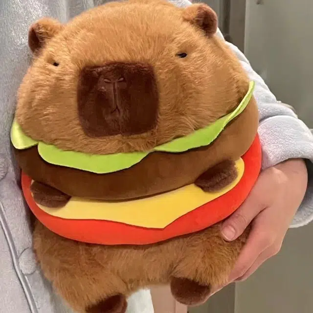 20cm30cm