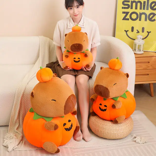 25cm40cm50cm60cm