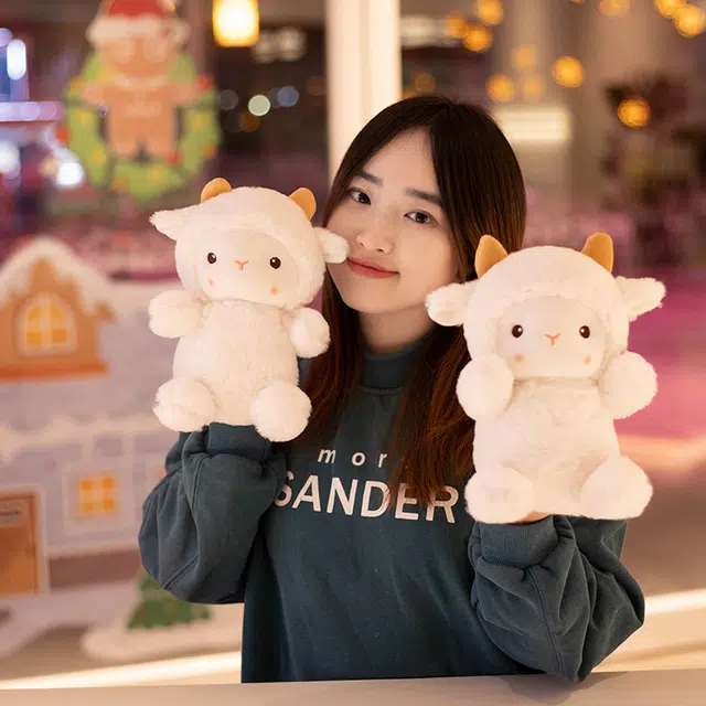 25cm30cm