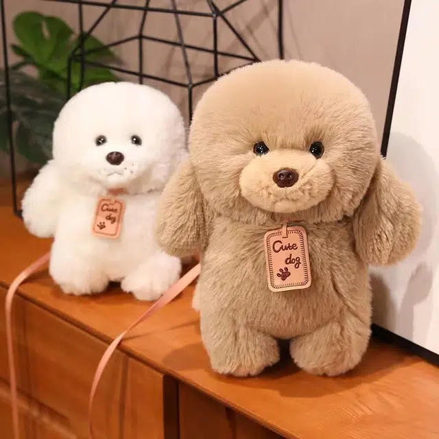 25cm35cm