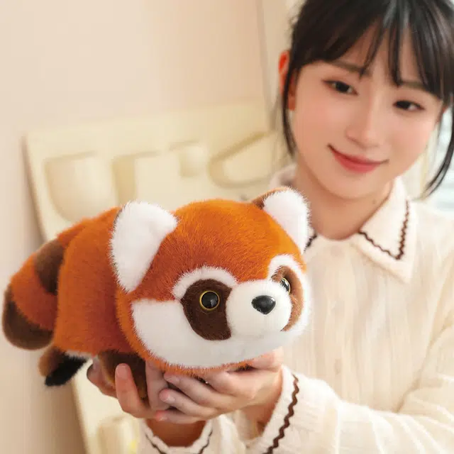 25cm35cm45cm