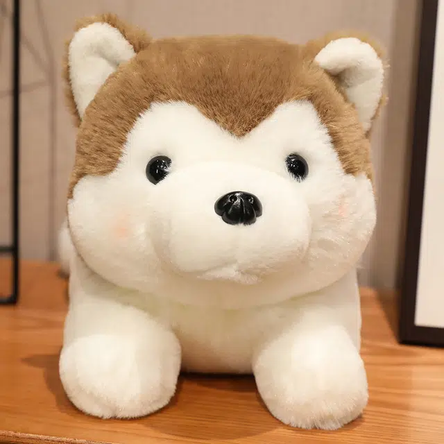 30cm40cm50cm