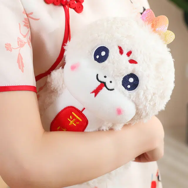 25cm