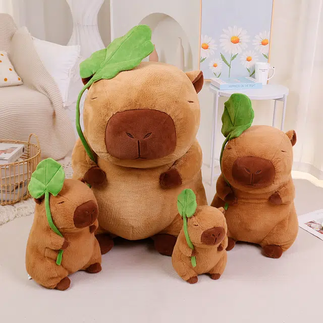 30cm40cm55cm85cm