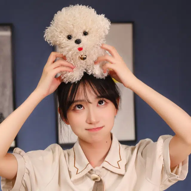 20cm