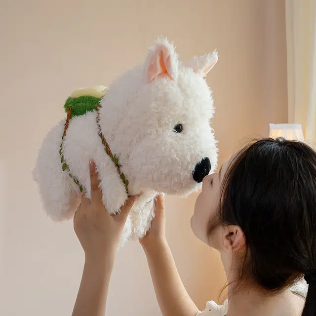 25cm35cm