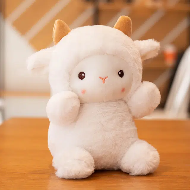 25cm30cm