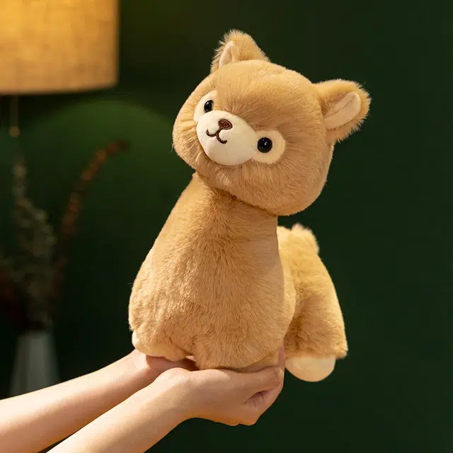 23cm30cm