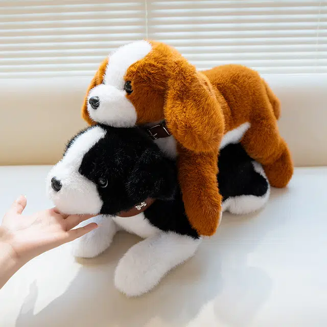40cm60cm