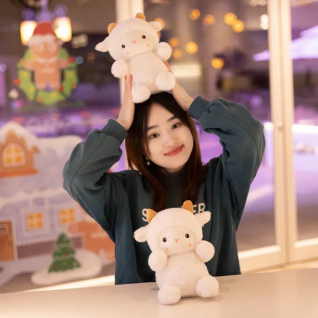 25cm30cm