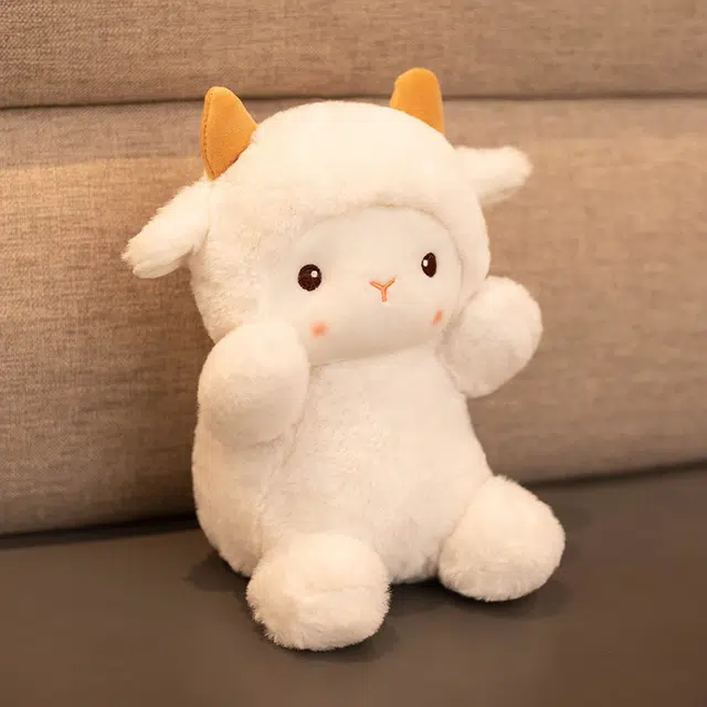 25cm30cm