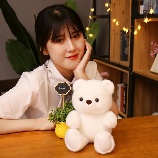 23cm