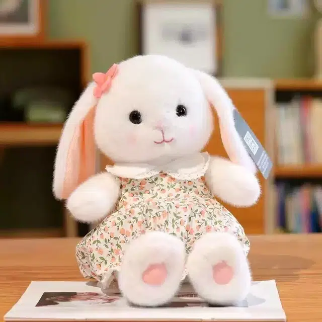 40cm55cm
