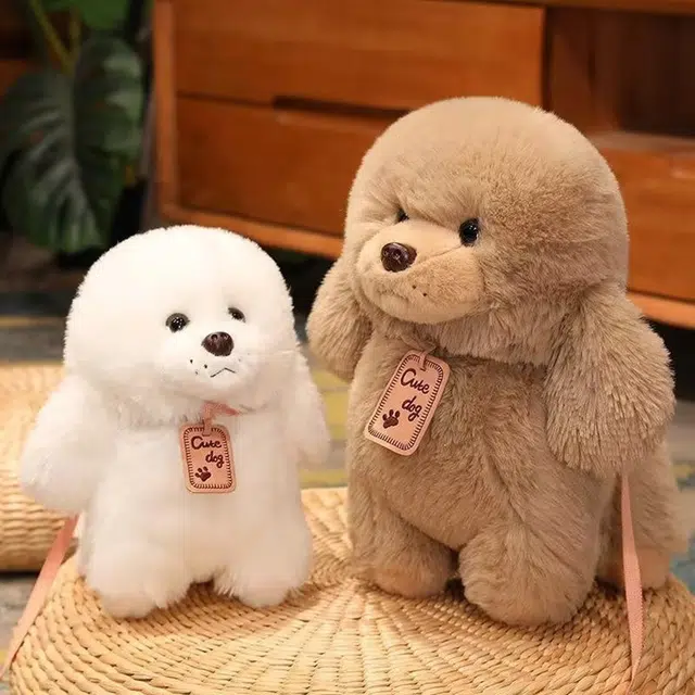 25cm35cm