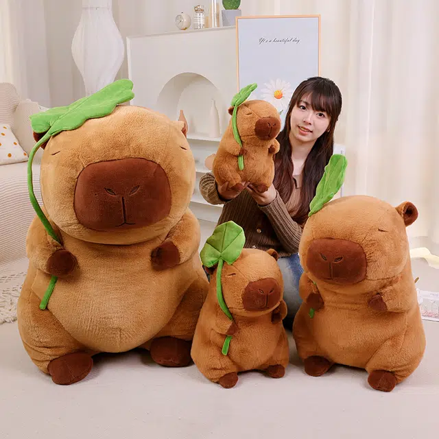30cm40cm55cm85cm