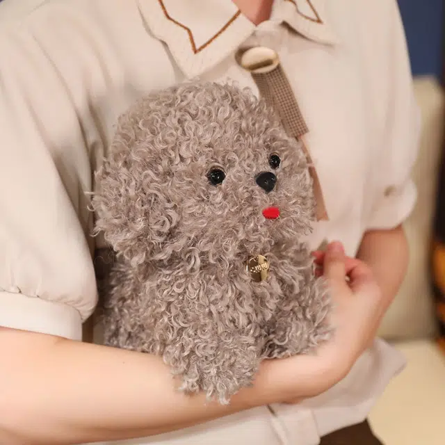 20cm