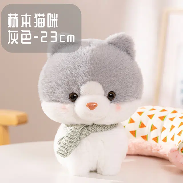 23cm
