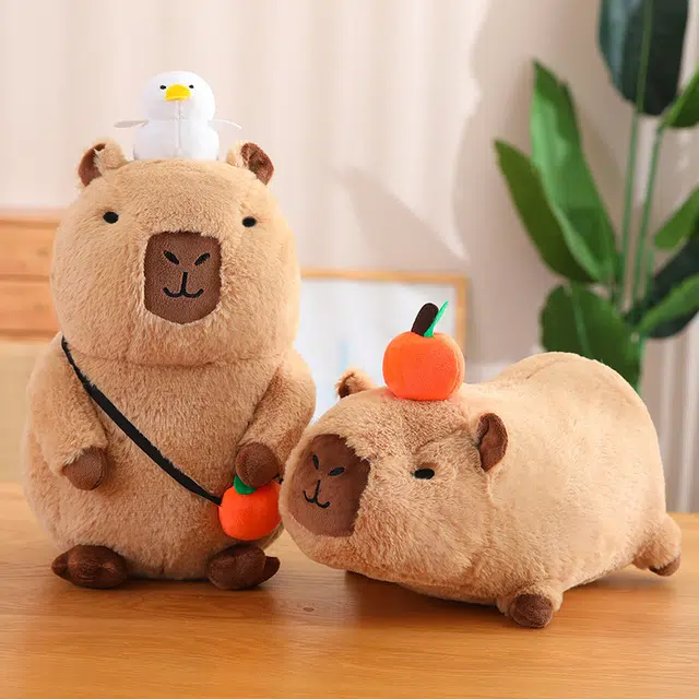20cm30cm40cm