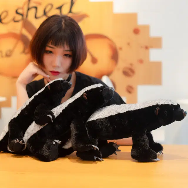 40cm50cm