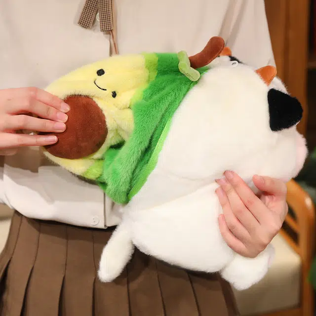 26cm