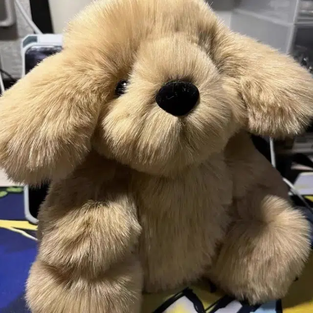 28cm