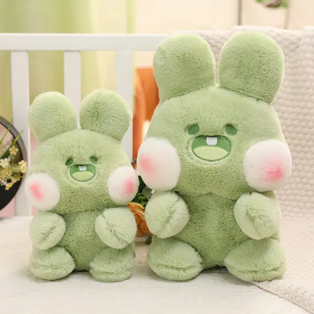 22cm28cm