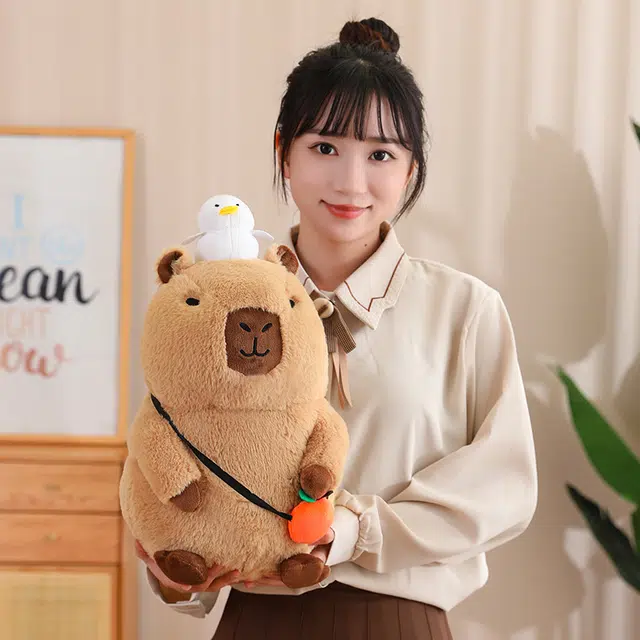 20cm30cm40cm