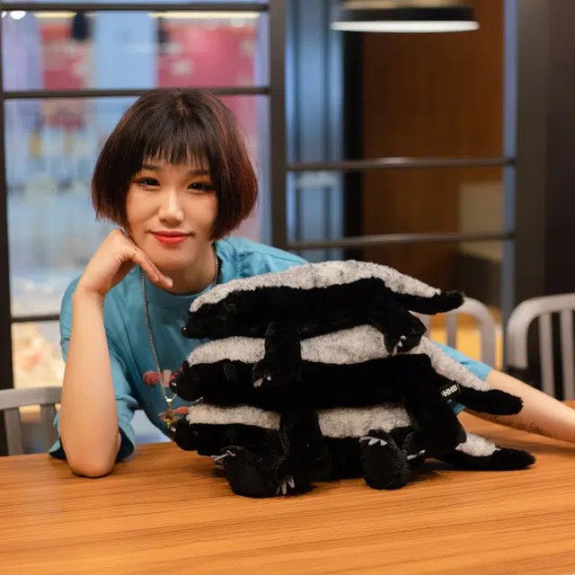 40cm50cm