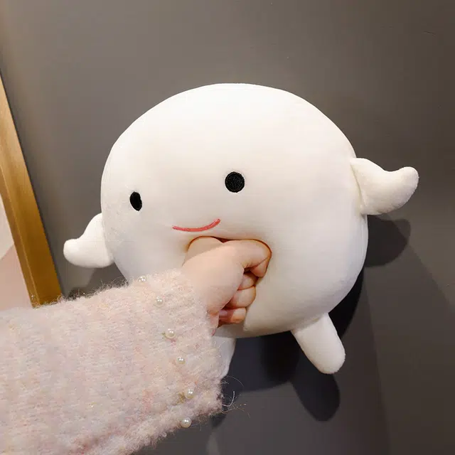 10cm22cm