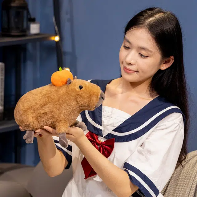 30cm
