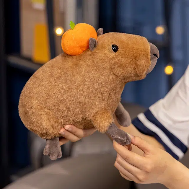30cm
