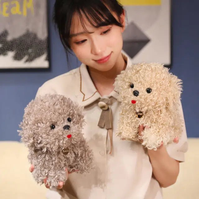 20cm