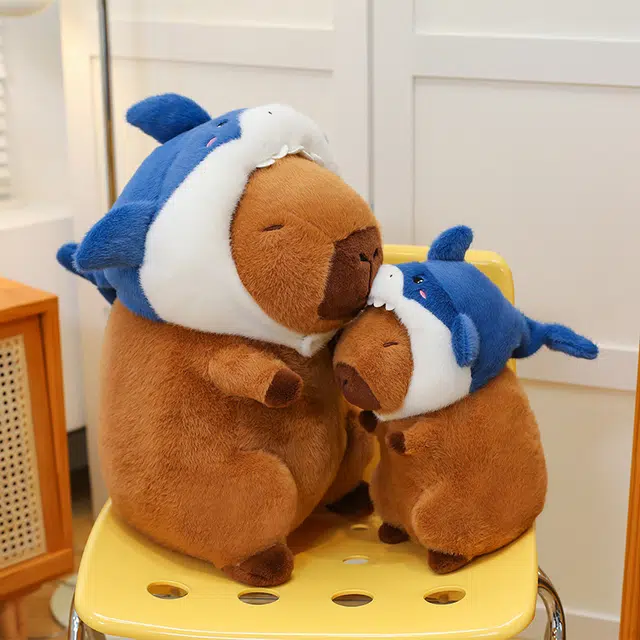 35cm55cm70cm