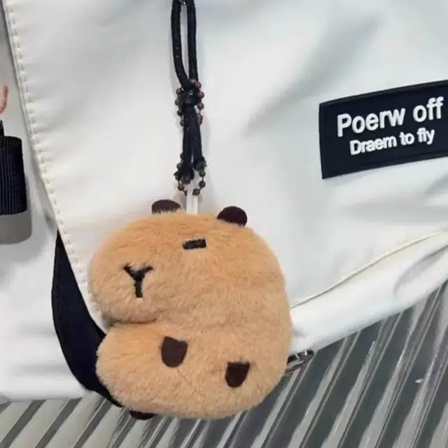 10cm