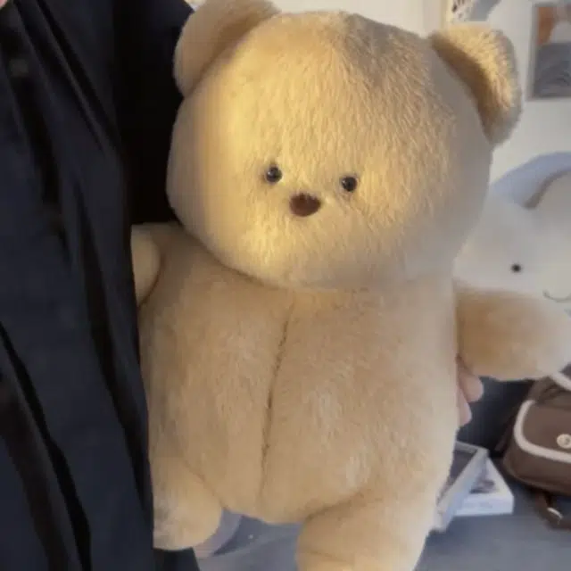 39cm55cm