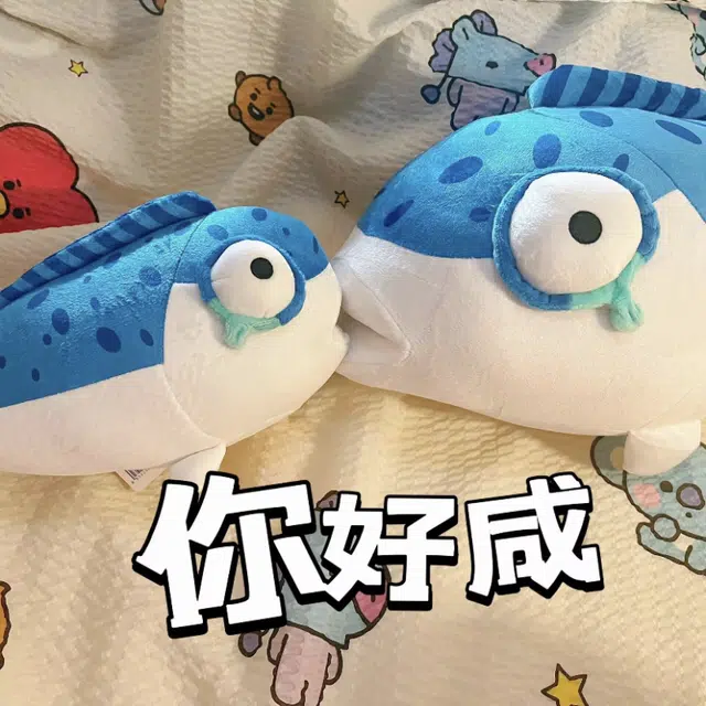 36cm50cm80cm