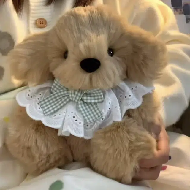 28cm